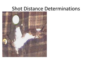 Chapter_16_-_FirearmsToolMarks.ppt for Criminal Investigation Class | PPT