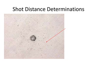 Chapter_16_-_FirearmsToolMarks.ppt for Criminal Investigation Class | PPT