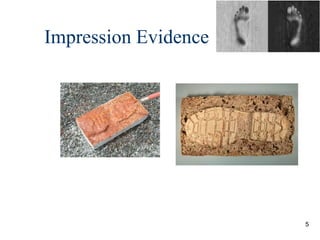 Chapter_16_-_FirearmsToolMarks.ppt for Criminal Investigation Class | PPT