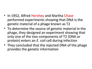 • In 1952, Alfred Hershey and Martha Chase
performed experiments showing that DNA is the
genetic material of a phage known as T2
• To determine the source of genetic material in the
phage, they designed an experiment showing that
only one of the two components of T2 (DNA or
protein) enters an E. coli cell during infection
• They concluded that the injected DNA of the phage
provides the genetic information
 