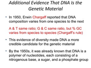 Additional Evidence That DNA Is the
Genetic Material
• In 1950, Erwin Chargaff reported that DNA
composition varies from one species to the next
A & T same ratio; G & C same ratio, but % GC
varies from species to species (Chargaff’s rule)
• This evidence of diversity made DNA a more
credible candidate for the genetic material
• By the 1950s, it was already known that DNA is a
polymer of nucleotides, each consisting of a
nitrogenous base, a sugar, and a phosphate group
 