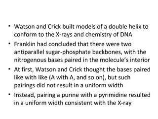 • Watson and Crick built models of a double helix to
conform to the X-rays and chemistry of DNA
• Franklin had concluded that there were two
antiparallel sugar-phosphate backbones, with the
nitrogenous bases paired in the molecule’s interior
• At first, Watson and Crick thought the bases paired
like with like (A with A, and so on), but such
pairings did not result in a uniform width
• Instead, pairing a purine with a pyrimidine resulted
in a uniform width consistent with the X-ray
 