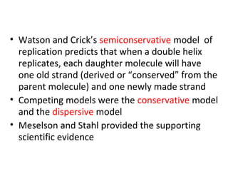 • Watson and Crick’s semiconservative model of
replication predicts that when a double helix
replicates, each daughter molecule will have
one old strand (derived or “conserved” from the
parent molecule) and one newly made strand
• Competing models were the conservative model
and the dispersive model
• Meselson and Stahl provided the supporting
scientific evidence
 
