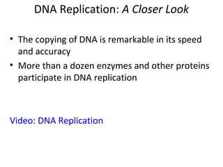 DNA Replication: A Closer Look
• The copying of DNA is remarkable in its speed
and accuracy
• More than a dozen enzymes and other proteins
participate in DNA replication
Video: DNA Replication
 