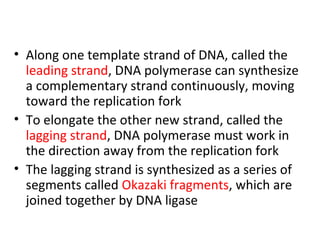 • Along one template strand of DNA, called the
leading strand, DNA polymerase can synthesize
a complementary strand continuously, moving
toward the replication fork
• To elongate the other new strand, called the
lagging strand, DNA polymerase must work in
the direction away from the replication fork
• The lagging strand is synthesized as a series of
segments called Okazaki fragments, which are
joined together by DNA ligase
 