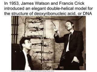 In 1953, James Watson and Francis Crick
introduced an elegant double-helical model for
the structure of deoxyribonucleic acid, or DNA
 