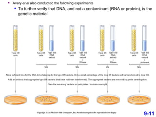 Copyright ©The McGraw-Hill Companies, Inc. Permission required for reproduction or display
9-11
 Avery et al also conducted the following experiments
 To further verify that DNA, and not a contaminant (RNA or protein), is the
genetic material
 