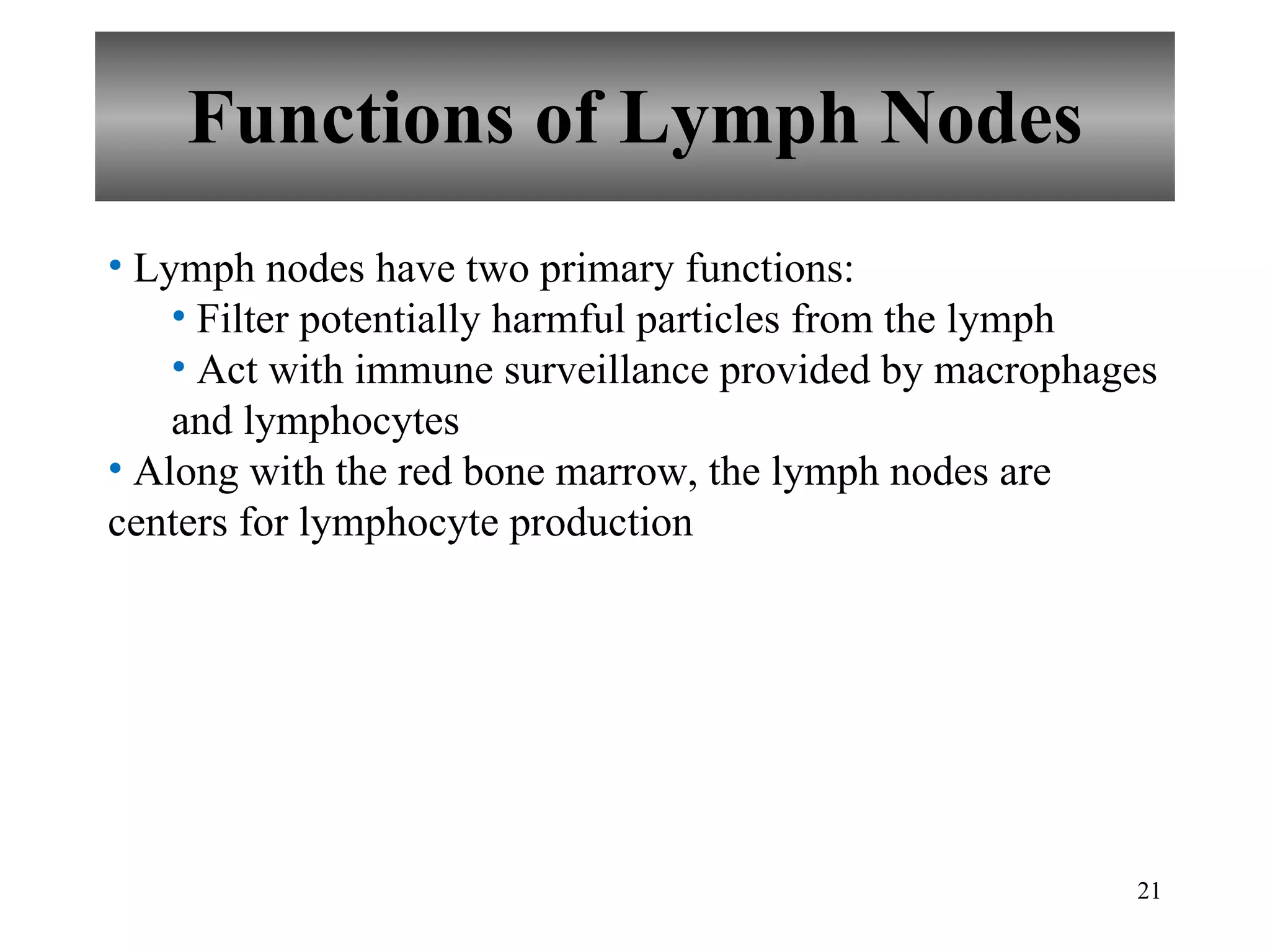 Functions of Lymph Nodes Lymph nodes have two primary functions: Filter potentially harmful particles from the lymph Act with immune surveillance provided by macrophages and lymphocytes Along with the red bone marrow, the lymph nodes are centers for lymphocyte production 