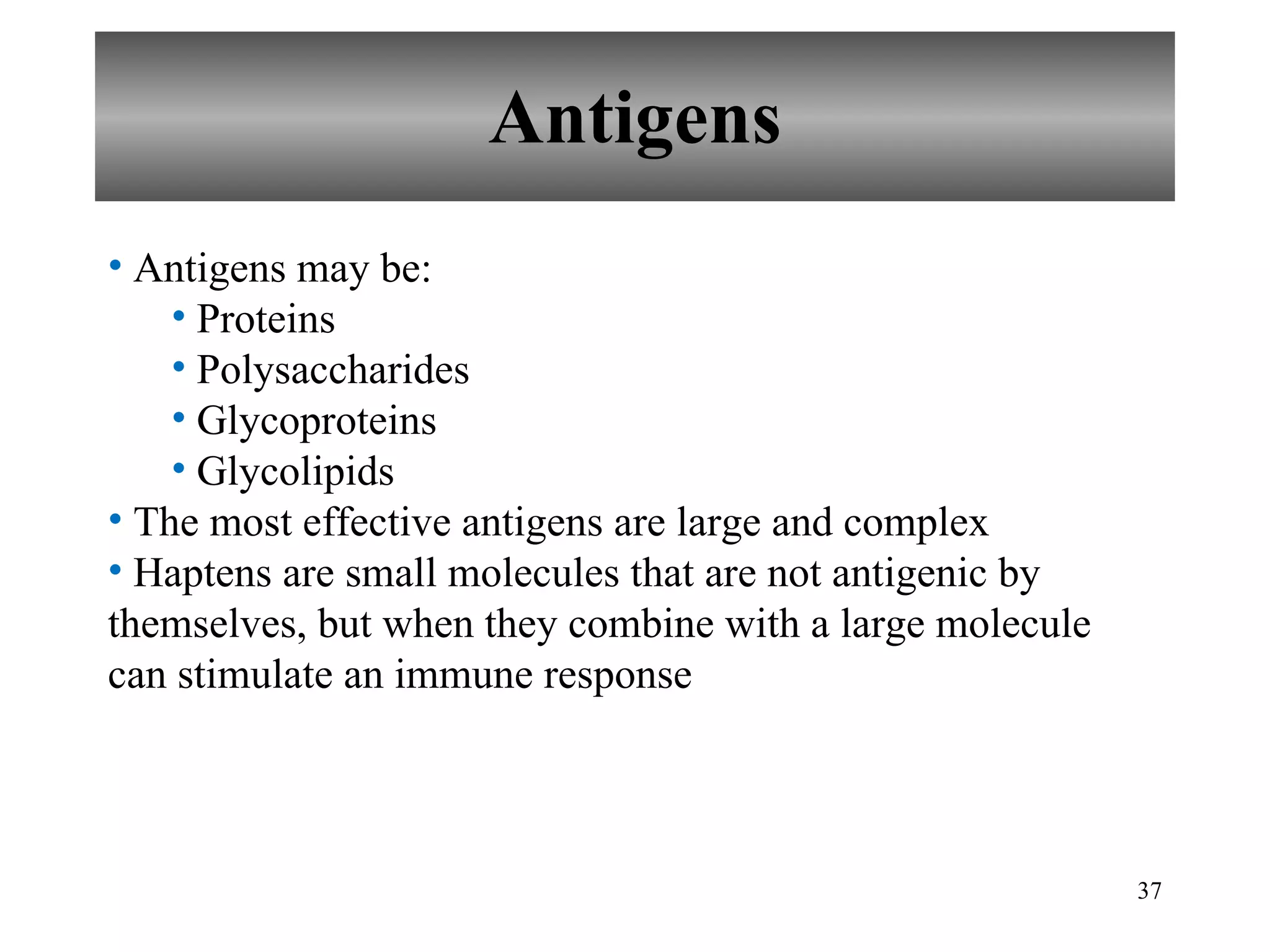 Antigens Antigens may be: Proteins  Polysaccharides Glycoproteins Glycolipids The most effective antigens are large and complex Haptens are small molecules that are not antigenic by themselves, but when they combine with a large molecule can stimulate an immune response 