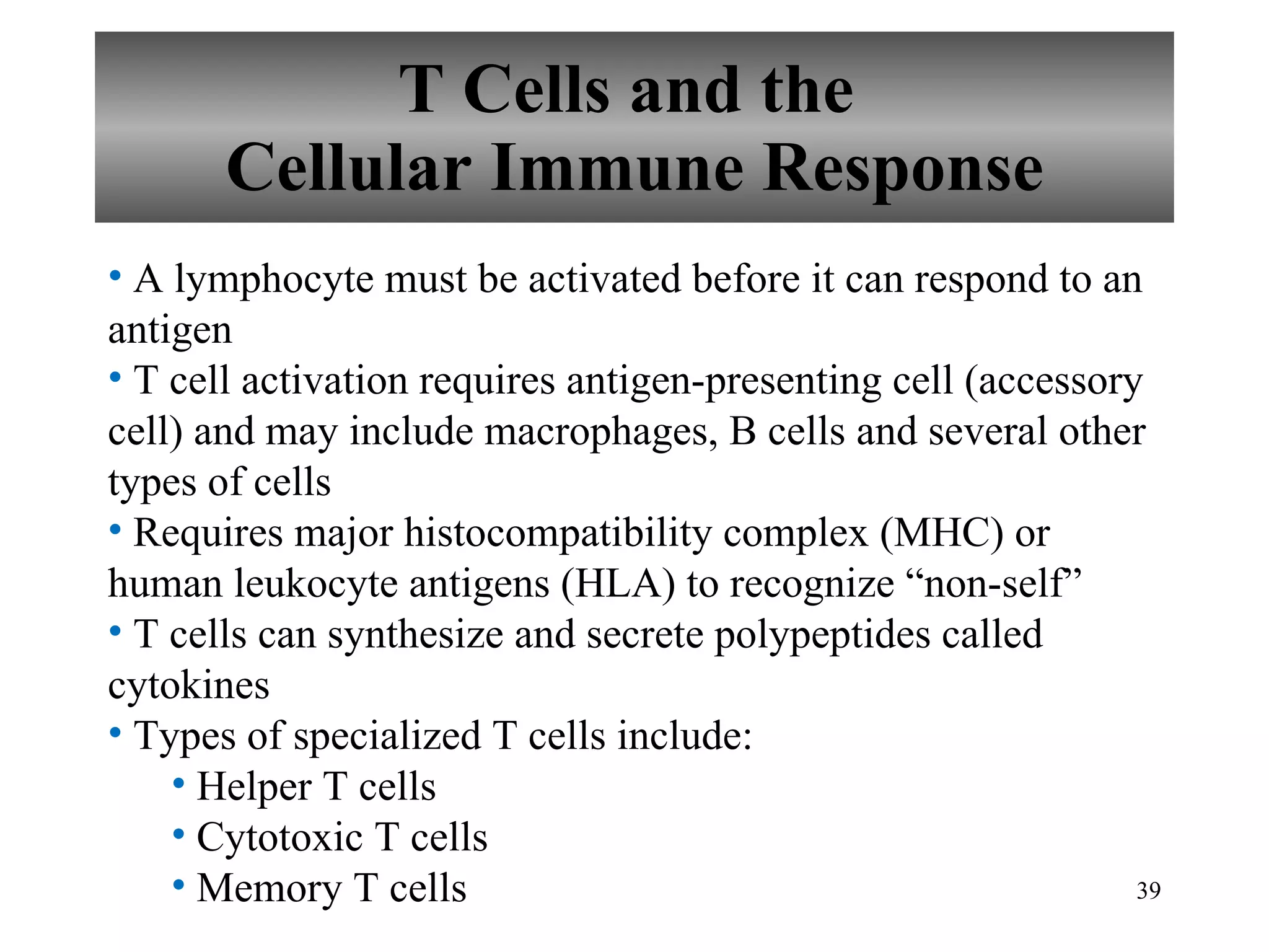 T Cells and the  Cellular Immune Response A lymphocyte must be activated before it can respond to an antigen T cell activation requires antigen-presenting cell (accessory cell) and may include macrophages, B cells and several other types of cells Requires major histocompatibility complex (MHC) or human leukocyte antigens (HLA) to recognize “non-self” T cells can synthesize and secrete polypeptides called cytokines Types of specialized T cells include: Helper T cells Cytotoxic T cells Memory T cells 