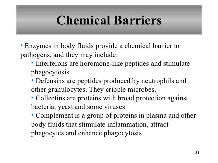 Chapter 16 Lymphatic System and Immunity