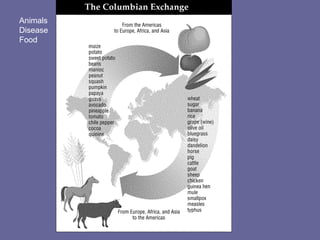 Animals
Disease
Food
 