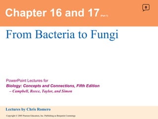 Chapter 16 and 17   (Part 1) From Bacteria to Fungi 0 