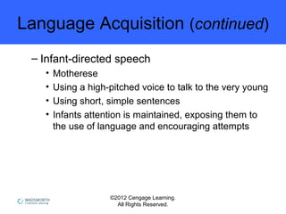 ©2012 Cengage Learning.
All Rights Reserved.
Language Acquisition (continued)
– Infant-directed speech
• Motherese
• Using a high-pitched voice to talk to the very young
• Using short, simple sentences
• Infants attention is maintained, exposing them to
the use of language and encouraging attempts
 