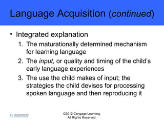 ©2012 Cengage Learning.
All Rights Reserved.
Language Acquisition (continued)
• Integrated explanation
1. The maturationally determined mechanism
for learning language
2. The input, or quality and timing of the child’s
early language experiences
3. The use the child makes of input; the
strategies the child devises for processing
spoken language and then reproducing it
 