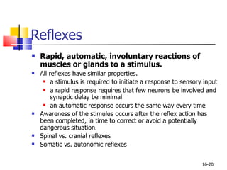 Chapter 16 B, Sp 10 | PPT