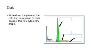 Quiz
• Write down the phase of the
cells that correspond to each
peaks in this flow cytometry
graph.
 
