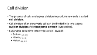 Cell division
• The process of cells undergoes division to produce new cells is called
cell division.
• Cell division of an eukaryotic cell can be divided into two stages:
nuclear division and cytoplasmic division (cytokinesis).
• Eukaryotic cells have three types of cell division:
• Amitosis无丝分裂
• Mitosis有丝分裂
• Meiosis减数分裂
 