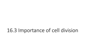 16.3 Importance of cell division
 