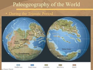 Neogene Map Cenozoic Geologic History— The Paleogene and Neogene | PPT
