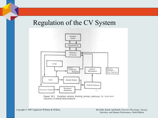 Chapter16 CV Regulation & Integration.ppt