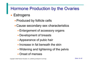 Hormone Production by the Ovaries
• Estrogens
• Produced by follicle cells
• Cause secondary sex characteristics
• Enlargement of accessory organs
• Development of breasts
• Appearance of pubic hair
• Increase in fat beneath the skin
• Widening and lightening of the pelvis
• Onset of menses
Slide 16.40
Copyright © 2003 Pearson Education, Inc. publishing as Benjamin Cummings
 