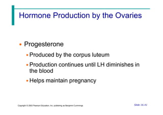 Hormone Production by the Ovaries
• Progesterone
• Produced by the corpus luteum
• Production continues until LH diminishes in
the blood
• Helps maintain pregnancy
Slide 16.41
Copyright © 2003 Pearson Education, Inc. publishing as Benjamin Cummings
 