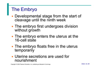 The Embryo
• Developmental stage from the start of
cleavage until the ninth week
• The embryo first undergoes division
without growth
• The embryo enters the uterus at the
16-cell state
• The embryo floats free in the uterus
temporarily
• Uterine secretions are used for
nourishment
Slide 16.48
Copyright © 2003 Pearson Education, Inc. publishing as Benjamin Cummings
 