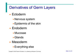 Derivatives of Germ Layers
• Ectoderm
• Nervous system
• Epidermis of the skin
• Endoderm
• Mucosae
• Glands
• Mesoderm
• Everything else
Slide 16.51
Copyright © 2003 Pearson Education, Inc. publishing as Benjamin Cummings
 