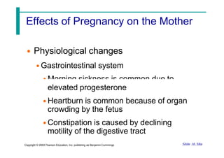 Effects of Pregnancy on the Mother
• Physiological changes
• Gastrointestinal system
• Morning sickness is common due to
Slide 16.58a
Copyright © 2003 Pearson Education, Inc. publishing as Benjamin Cummings
elevated progesterone
• Heartburn is common because of organ
crowding by the fetus
• Constipation is caused by declining
motility of the digestive tract
 