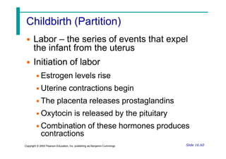 Childbirth (Partition)
• Labor – the series of events that expel
the infant from the uterus
• Initiation of labor
• Estrogen levels rise
• Uterine contractions begin
• The placenta releases prostaglandins
• Oxytocin is released by the pituitary
• Combination of these hormones produces
contractions
Slide 16.60
Copyright © 2003 Pearson Education, Inc. publishing as Benjamin Cummings
 