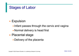 Stages of Labor
• Expulsion
• Infant passes through the cervix and vagina
• Normal delivery is head first
• Placental stage
• Delivery of the placenta
Slide 16.62b
Copyright © 2003 Pearson Education, Inc. publishing as Benjamin Cummings
 