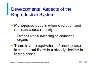 Developmental Aspects of the
Reproductive System
• Menopause occurs when ovulation and
menses cease entirely
• Ovaries stop functioning as endocrine
organs
• There is a no equivalent of menopause
in males, but there is a steady decline in
testosterone
Slide 16.66
Copyright © 2003 Pearson Education, Inc. publishing as Benjamin Cummings
 