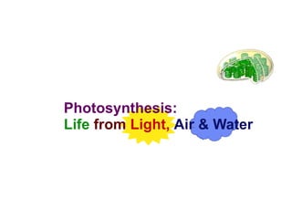 Photosynthesis: Life   from   Light,  Air & Water 
