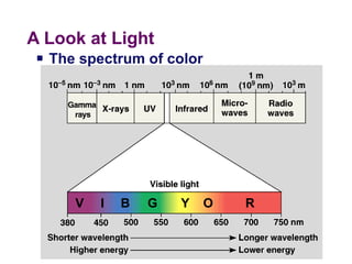 A Look at Light The spectrum of color  R O Y G B I V 