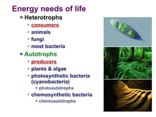 Energy needs of life Heterotrophs consumers animals fungi most bacteria Autotrophs   producers plants & algae photosynthetic bacteria (cyanobacteria) photoautotrophs chemosynthetic bacteria chemoautotrophs 
