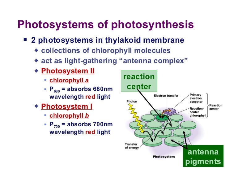 Chapter 16 lecture 1