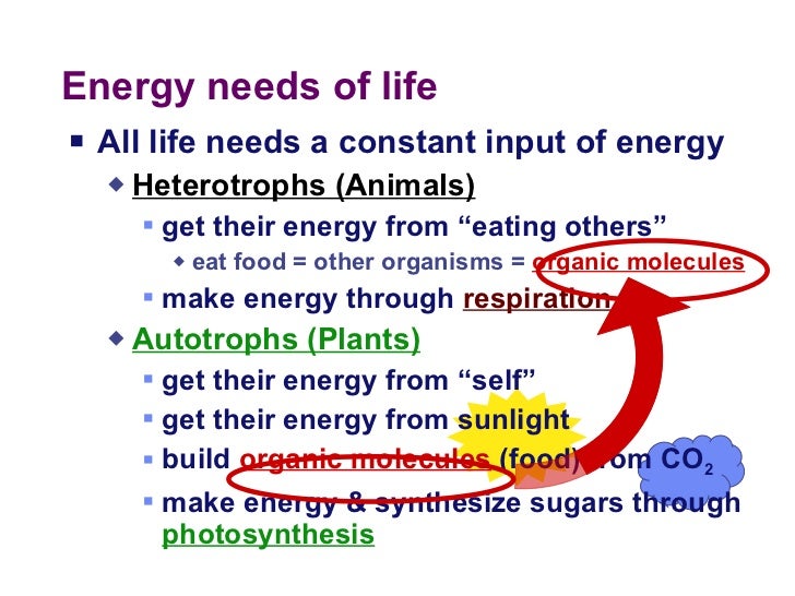 Chapter 16 lecture 1