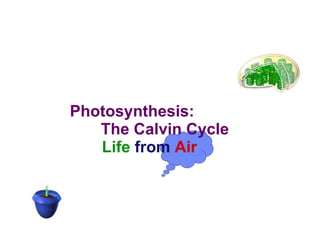 Photosynthesis:   The Calvin Cycle   Life   from   Air 