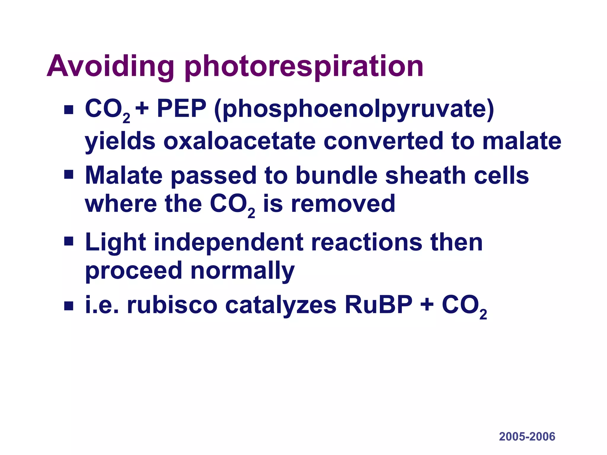Avoiding photorespiration CO 2  + PEP (phosphoenolpyruvate) yields oxaloacetate converted to malate Malate passed to bundle sheath cells where the CO 2  is removed  Light independent reactions then proceed normally i.e. rubisco catalyzes RuBP + CO 2 2005-2006 