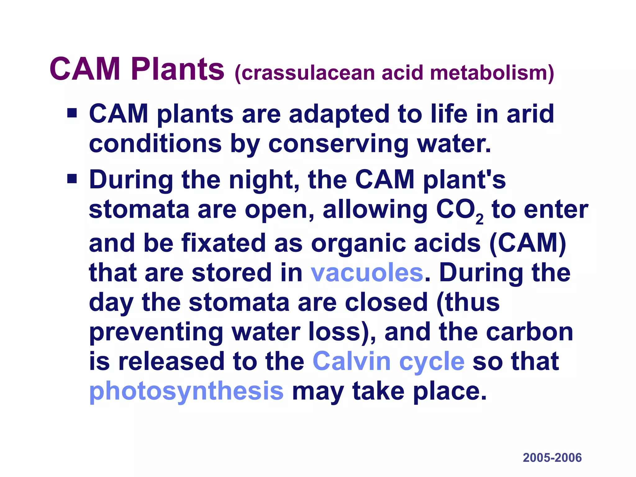 CAM Plants  (crassulacean acid metabolism) CAM plants are adapted to life in arid conditions by conserving water. During the night, the CAM plant's stomata are open, allowing CO 2  to enter and be fixated as organic acids (CAM) that are stored in  vacuoles . During the day the stomata are closed (thus preventing water loss), and the carbon is released to the  Calvin cycle  so that  photosynthesis  may take place. 2005-2006 