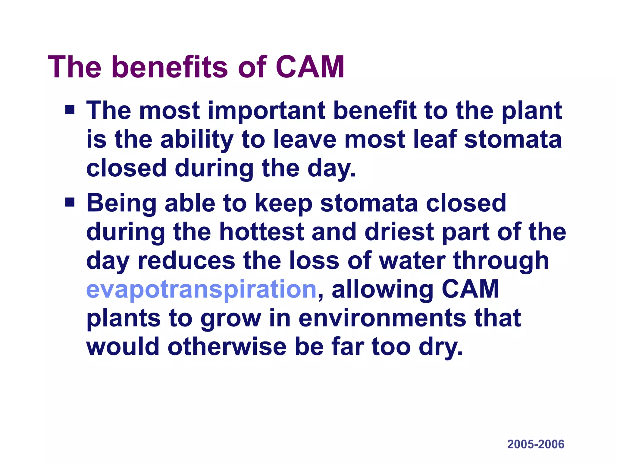 The benefits of CAM The most important benefit to the plant is the ability to leave most leaf stomata closed during the day.  Being able to keep stomata closed during the hottest and driest part of the day reduces the loss of water through  evapotranspiration , allowing CAM plants to grow in environments that would otherwise be far too dry.  2005-2006 