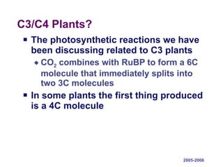 C3/C4 Plants? The photosynthetic reactions we have been discussing related to C3 plants CO 2  combines with RuBP to form a 6C molecule that immediately splits into two 3C molecules In some plants the first thing produced is a 4C molecule 2005-2006 