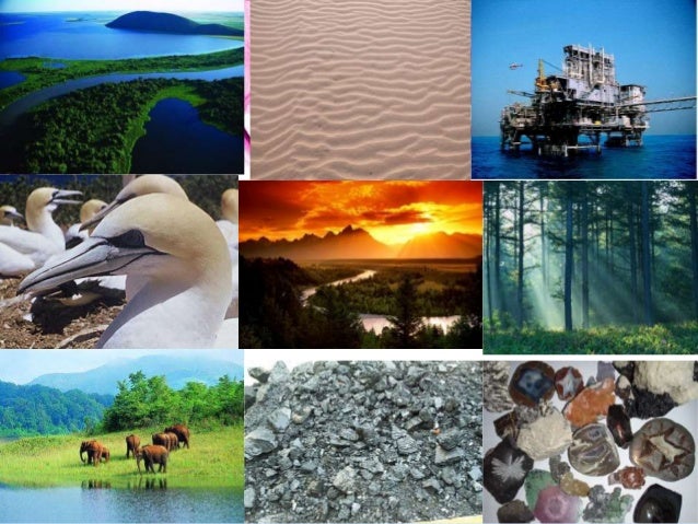 Ресурсы земли. Богатства земли. Природные ресурсы. Природные ресурсы коллаж. Save natural resources