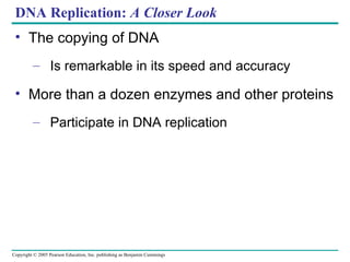 The Molecular Basis of Inheritance: DNA Structure and Replication | PPT