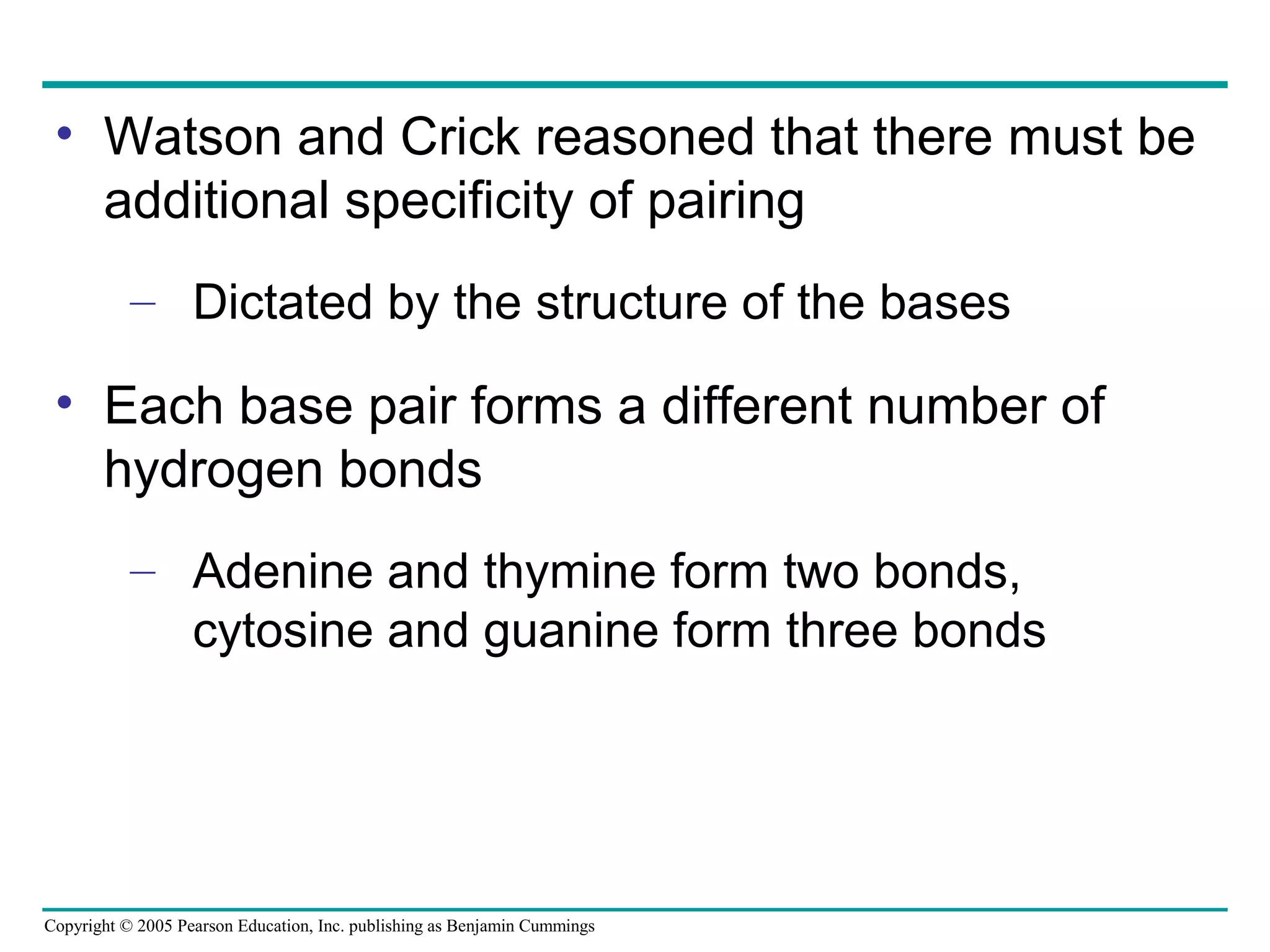 Copyright © 2005 Pearson Education, Inc. publishing as Benjamin Cummings
• Watson and Crick reasoned that there must be
additional specificity of pairing
– Dictated by the structure of the bases
• Each base pair forms a different number of
hydrogen bonds
– Adenine and thymine form two bonds,
cytosine and guanine form three bonds
 