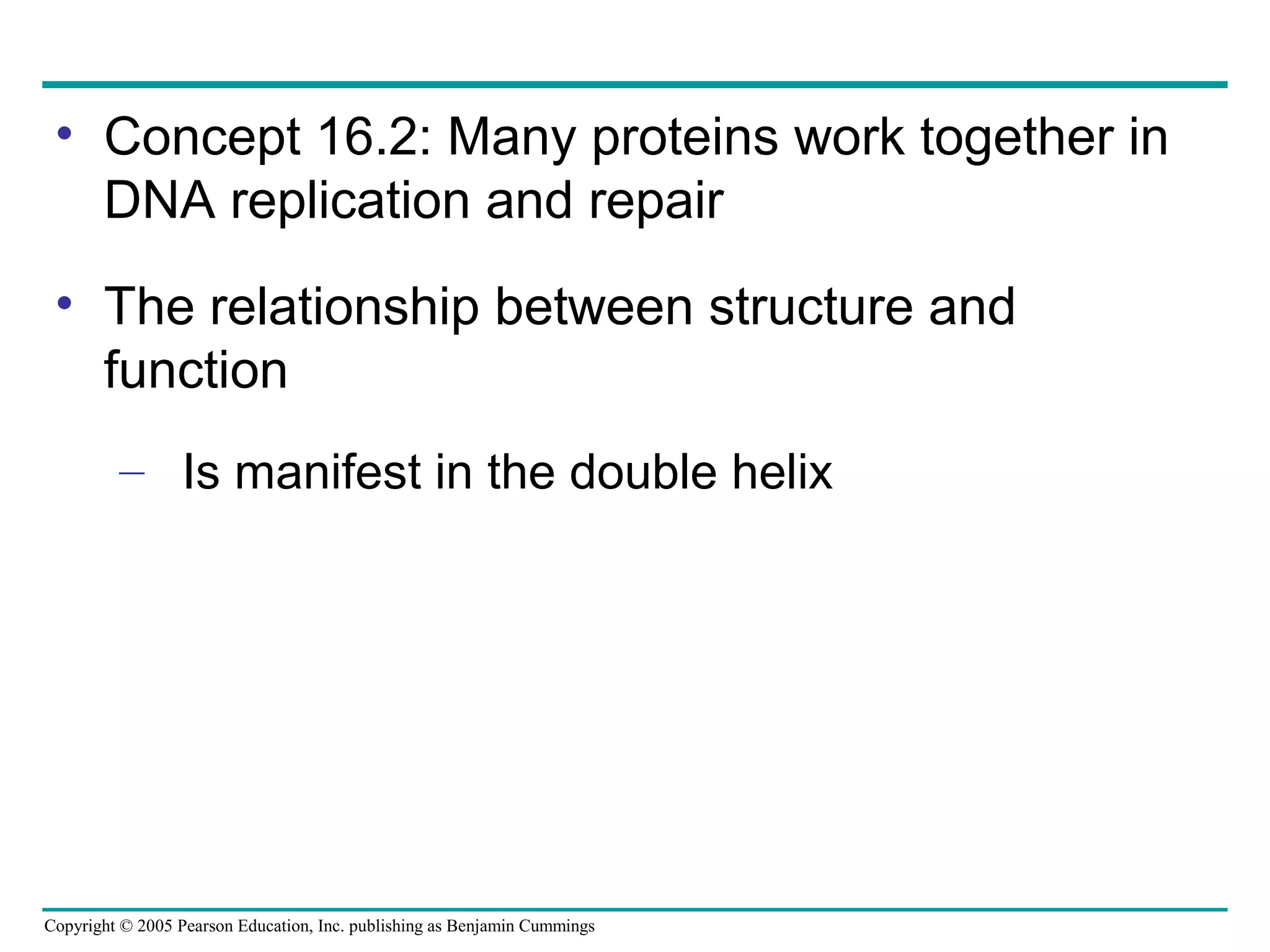 Copyright © 2005 Pearson Education, Inc. publishing as Benjamin Cummings
• Concept 16.2: Many proteins work together in
DNA replication and repair
• The relationship between structure and
function
– Is manifest in the double helix
 