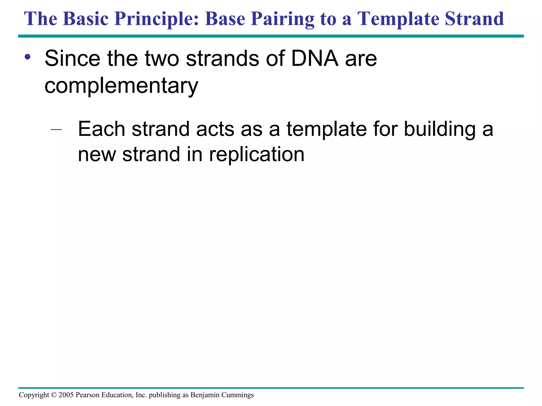 Copyright © 2005 Pearson Education, Inc. publishing as Benjamin Cummings
The Basic Principle: Base Pairing to a Template Strand
• Since the two strands of DNA are
complementary
– Each strand acts as a template for building a
new strand in replication
 