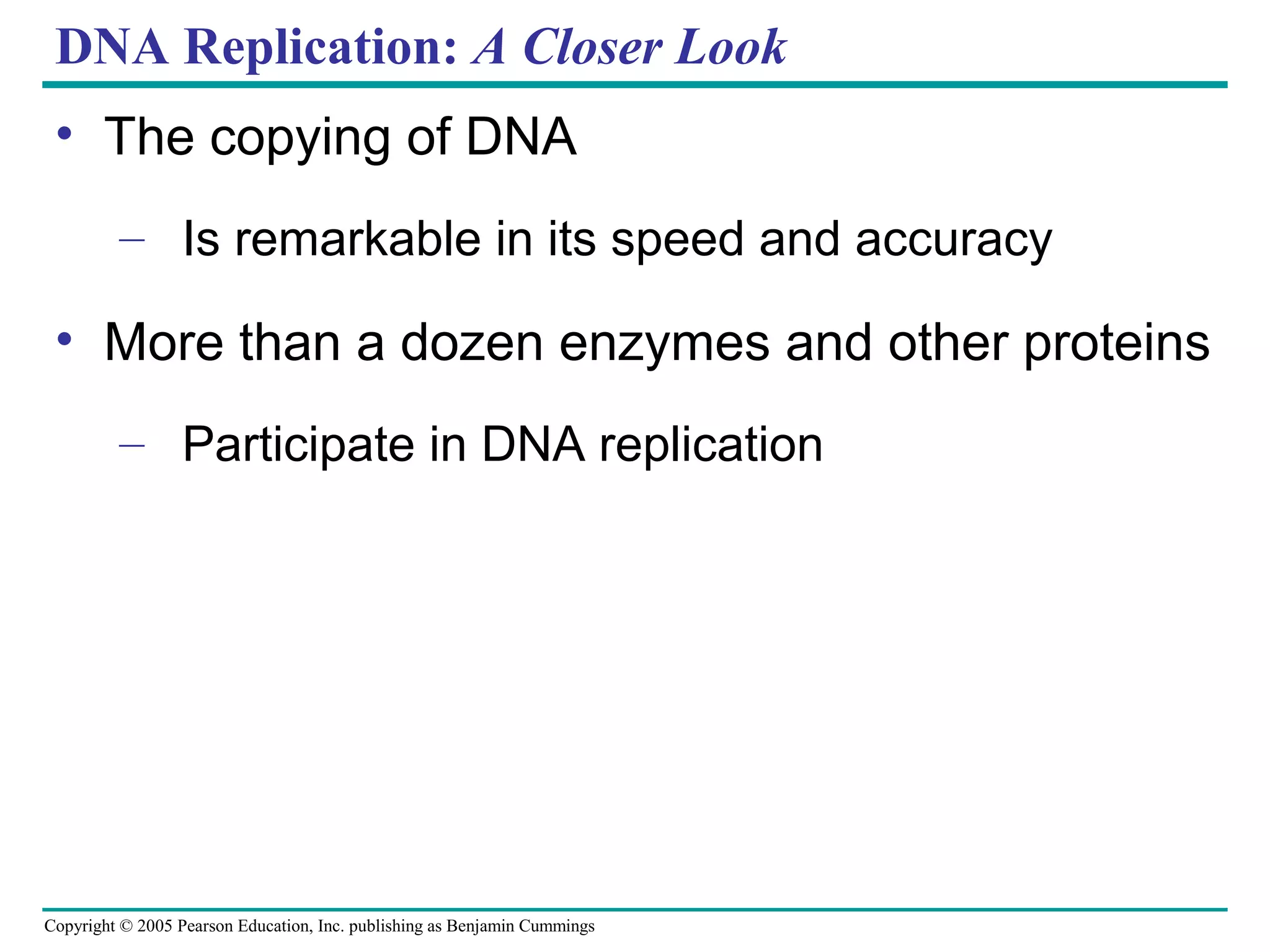 Copyright © 2005 Pearson Education, Inc. publishing as Benjamin Cummings
DNA Replication: A Closer Look
• The copying of DNA
– Is remarkable in its speed and accuracy
• More than a dozen enzymes and other proteins
– Participate in DNA replication
 