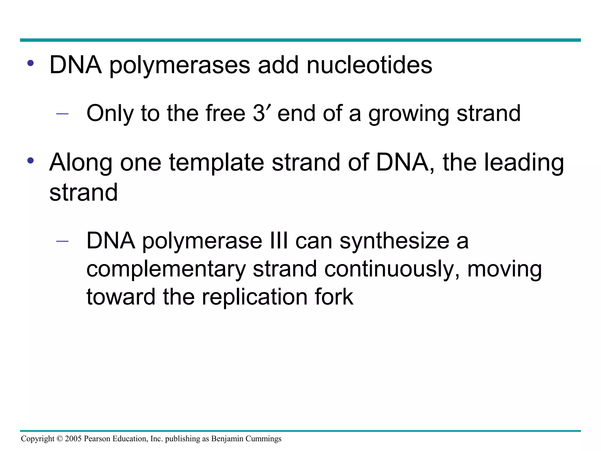 Copyright © 2005 Pearson Education, Inc. publishing as Benjamin Cummings
• DNA polymerases add nucleotides
– Only to the free 3′ end of a growing strand
• Along one template strand of DNA, the leading
strand
– DNA polymerase III can synthesize a
complementary strand continuously, moving
toward the replication fork
 